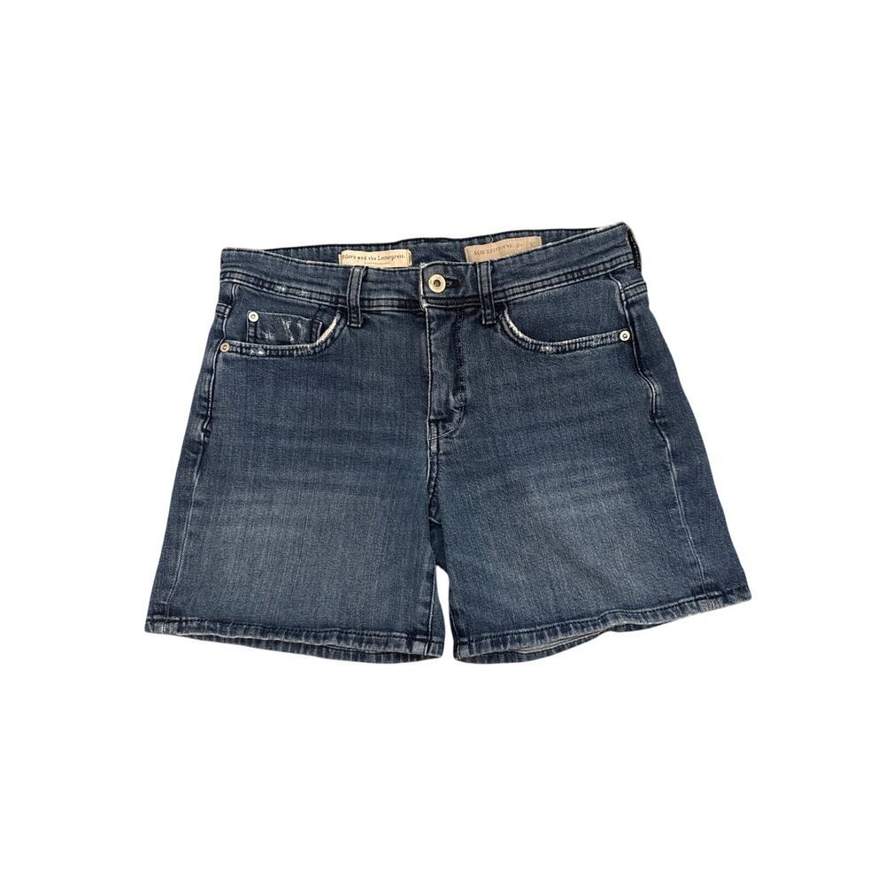 Pilcro & the Letterpress Anthropologie Boyfriend Slim Stretch Denim Shorts, 27